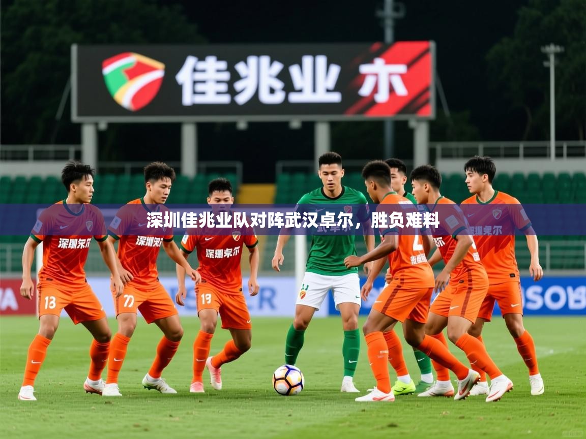 2026爱游戏体育网页版官方入口深圳佳兆业队对阵武汉卓尔，胜负难料